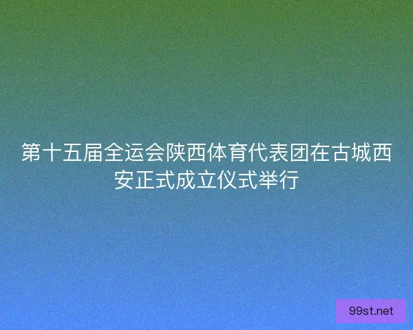 第十五届全运会陕西体育代表团在古城西安正式成立仪式举行